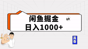 (10227期)闲鱼暴力掘金项目,轻松日入1000+-A同城-创业课