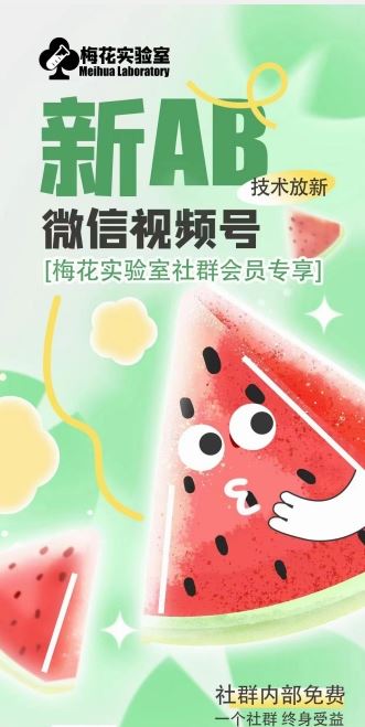 梅花实验室2024年AB技术视频号AB合成破解版-A同城-创业课