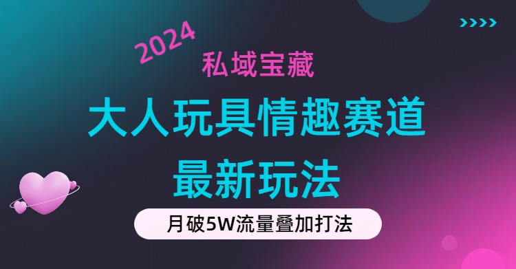 （11541期）私域宝藏：大人玩具情趣赛道合规新玩法，零投入，私域超高流量成单率高-A同城-创业课