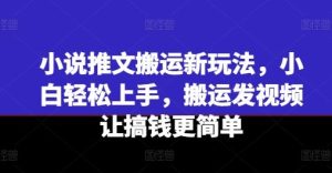 小说推文搬运新玩法，小白轻松上手，搬运发视频让搞钱更简单-A同城-创业课