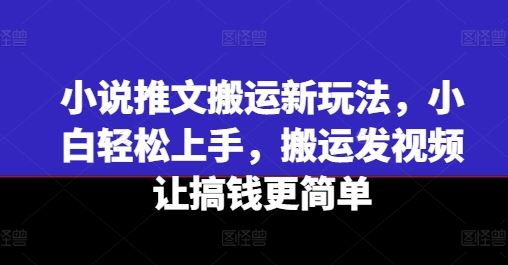 小说推文搬运新玩法，小白轻松上手，搬运发视频让搞钱更简单-A同城-创业课