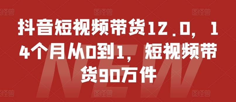 抖音短视频带货12.0,14个月从0到1,短视频带货90万件-A同城-创业课