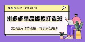 2024拼多多单品爆款打造班,充分应用你的流量,增长实战培训(更新6月)-A同城-创业课