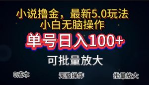 （11651期）全自动小说撸金，单号日入100+小白轻松上手，无脑操作-A同城-创业课