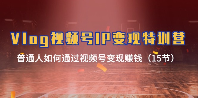 (11654期)Vlog 视频号IP变现特训营,普通人如何通过视频号变现赚钱(15节)-A同城-创业课