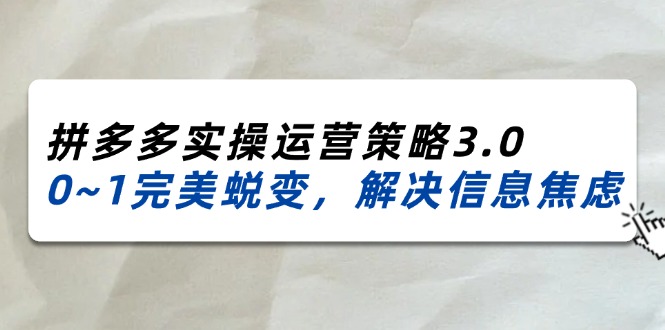 (11658期)2024_2025拼多多实操运营策略3.0,0~1完美蜕变,解决信息焦虑(38节)-A同城-创业课