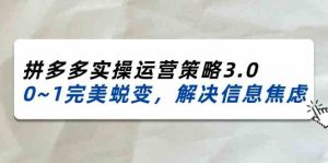 2024-2025拼多多实操运营策略3.0,0~1完美蜕变,解决信息焦虑(38节)-A同城-创业课
