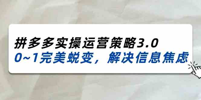 2024-2025拼多多实操运营策略3.0,0~1完美蜕变,解决信息焦虑(38节)-A同城-创业课