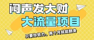 （11688期）闷声发大财，大流量项目，月收益过3万，只要你努力，两个月就能翻身-A同城-创业课