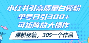 （11692期）小红书引高质量白领粉，单号日引300+，可放大操作，爆粉秘籍！30s一个作品-A同城-创业课