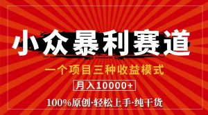 (11695期)视频号【中老年粉深信不疑】小众赛道 100%原创 手把手教学 新号3天收益…-A同城-创业课