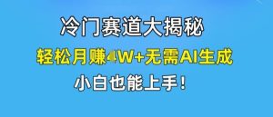 冷门赛道大揭秘，轻松月赚1W+无需AI生成，小白也能上手【揭秘】-A同城-创业课