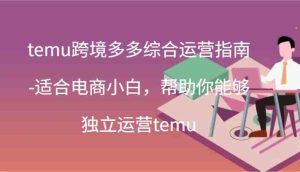 temu跨境多多综合运营指南-适合电商小白，帮助你能够独立运营temu(44节)-A同城-创业课