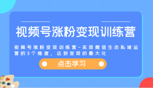 视频号涨粉变现训练营-实现微信生态私域运营的3个维度,达到变现的最大化-A同城-创业课