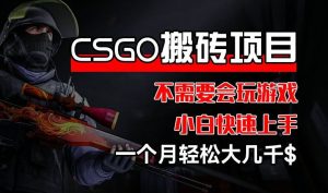 CSGO 装备搬砖项目，操作简单，不需要会玩游戏，小白也能快速上手，一个月轻松大几千【揭秘】-A同城-创业课
