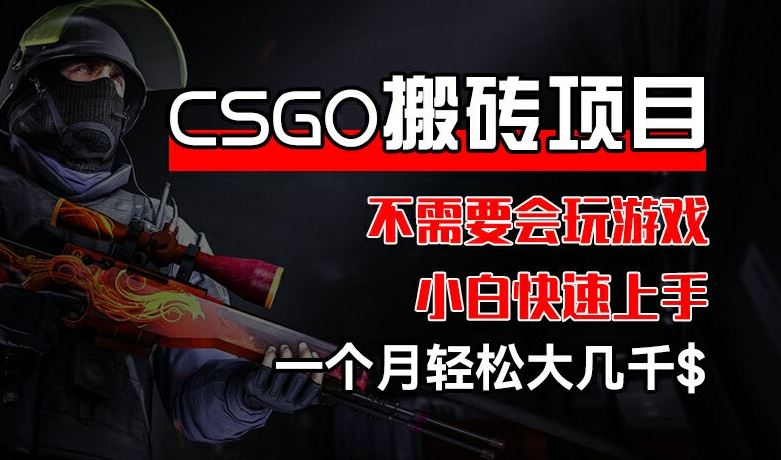 CSGO 装备搬砖项目，操作简单，不需要会玩游戏，小白也能快速上手，一个月轻松大几千【揭秘】-A同城-创业课