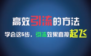 高效引流的方法,可以帮助你日引300+创业粉,一年轻松收入30万,比打工强太多!-A同城-创业课