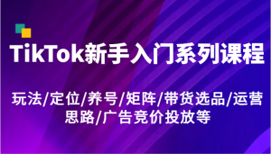 TikTok新手入门系列课程,玩法/定位/养号/矩阵/带货选品/运营思路/广告竞价投放等-A同城-创业课