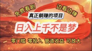 （11866期）免费看剧，边看边赚，日入上千不是梦，一个真正的躺赚项目-A同城-创业课