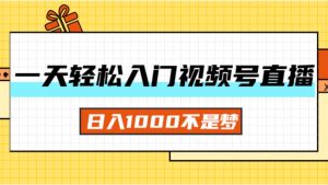 （11906期）一天入门视频号直播带货，日入1000不是梦-A同城-创业课