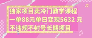 独家项目卖冷门教学课程一单88元单日变现5632元违规不封号长期项目【揭秘】-A同城-创业课