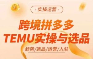 跨境拼多多TEMU实操与选品,多多temu跨境选品运营实操-A同城-创业课