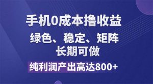 (11976期)纯利润高达800+,手机0成本撸羊毛,项目纯绿色,可稳定长期操作!-A同城-创业课
