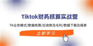 （11978期）Tiktok财务核算实战营：TK业务模式/数据核算/应收款及毛利/数据下载及报表-A同城-创业课
