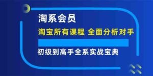淘系会员初级到高手全系实战宝典【淘宝所有课程,全面分析对手】-A同城-创业课