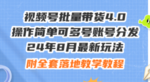 （12093期）24年8月最新玩法视频号批量带货4.0，操作简单可多号账号分发，附全套落…-A同城-创业课