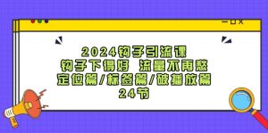 2024钩子引流课：钩子下得好流量不再愁，定位篇/标签篇/破播放篇/24节-A同城-创业课