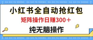 （12151期）最新小红书全自动抢红包，单号一天50＋  矩阵操作日入300＋，纯无脑操作-A同城-创业课
