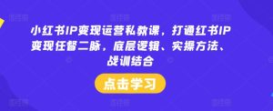 小红书IP变现运营私教课,打通红书IP变现任督二脉,底层逻辑、实操方法、战训结合-A同城-创业课