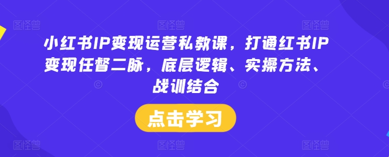 小红书IP变现运营私教课,打通红书IP变现任督二脉,底层逻辑、实操方法、战训结合-A同城-创业课