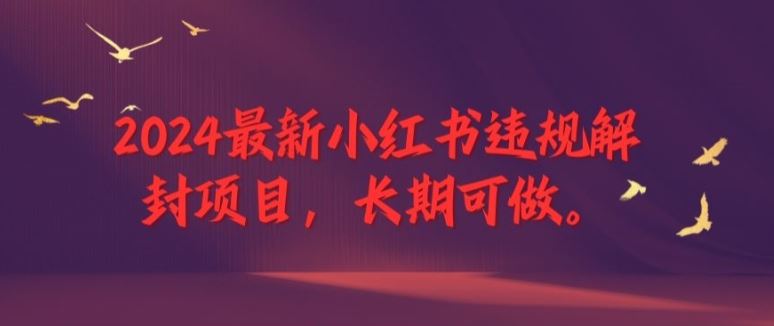 2024最新小红书违规解封项目，长期可做，一个可以做到退休的项目【揭秘】-A同城-创业课