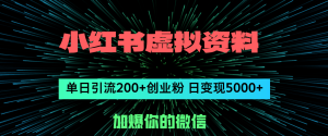 （12164期）小红书虚拟资料日引流200+创业粉，单日变现5000+-A同城-创业课