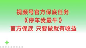 视频号官方保底任务，停车我最牛，官方保底只要做就有收益【揭秘】-A同城-创业课
