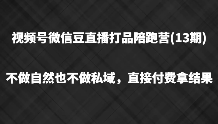 视频号微信豆直播打品陪跑(13期),不做不自然流不做私域,直接付费拿结果-A同城-创业课