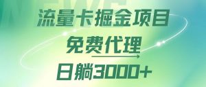 (12321期)流量卡掘金代理,日躺赚3000+,变现暴力,多种推广途径-A同城-创业课