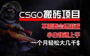 （12332期）CSGO 装备搬砖项目，操作简单，不需要会玩游戏，小白也能快速上手，一…-A同城-创业课