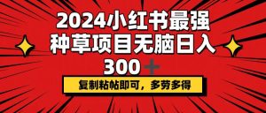（12336期）2024小红书最强种草项目，无脑日入300+，复制粘帖即可，多劳多得-A同城-创业课