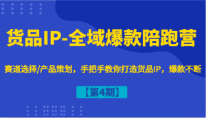 货品IP-全域爆款陪跑营【第4期】赛道选择/产品策划，手把手教你打造货品IP，爆款不断-A同城-创业课