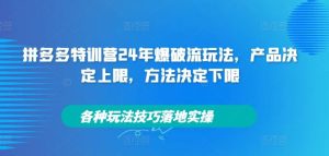 拼多多特训营24年爆破流玩法,产品决定上限,方法决定下限,各种玩法技巧落地实操-A同城-创业课