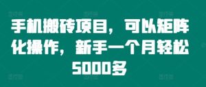 手机搬砖项目,可以矩阵化操作,新手一个月轻松5000多-A同城-创业课