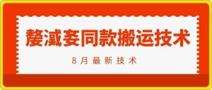 抖音96万粉丝账号【嫠㵄㚣】同款搬运技术-A同城-创业课