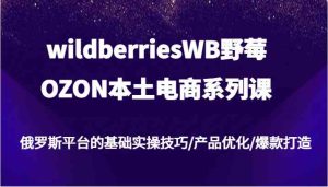 wildberriesWB野莓/OZON本土电商系列课,俄罗斯平台的基础实操技巧/产品优化/爆款打造-A同城-创业课