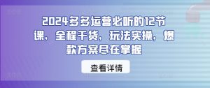 2024多多运营必听的12节课,全程干货,玩法实操,爆款方案尽在掌握-A同城-创业课