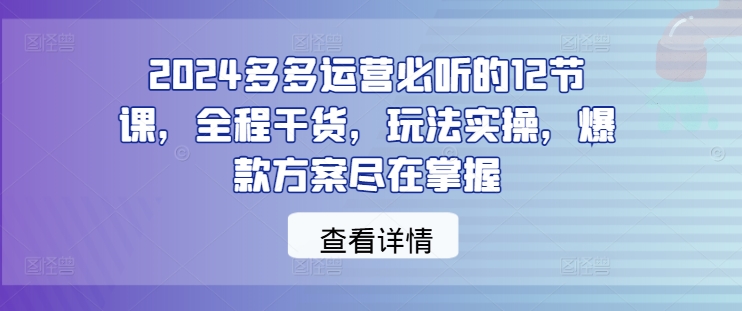 2024多多运营必听的12节课，全程干货，玩法实操，爆款方案尽在掌握-A同城-创业课