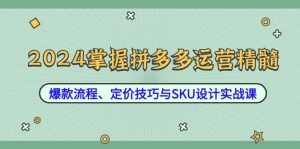 2024掌握拼多多运营精髓:爆款流程、定价技巧与SKU设计实战课-A同城-创业课