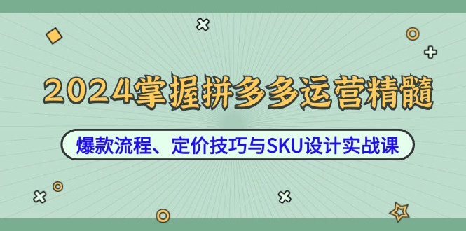 2024掌握拼多多运营精髓:爆款流程、定价技巧与SKU设计实战课-A同城-创业课